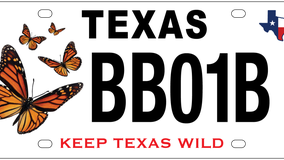 New Texas license plate benefits monarch butterfly conservation