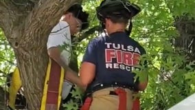 Rescue attempt leaves cat and owner stuck in tree