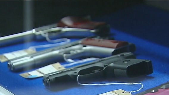 FOX 7 Discussion: Firearms instructors pushing gun education, safety