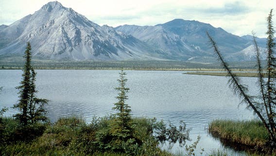 Biden admin to suspend oil, gas leases in Alaska’s Arctic National Wildlife Refuge