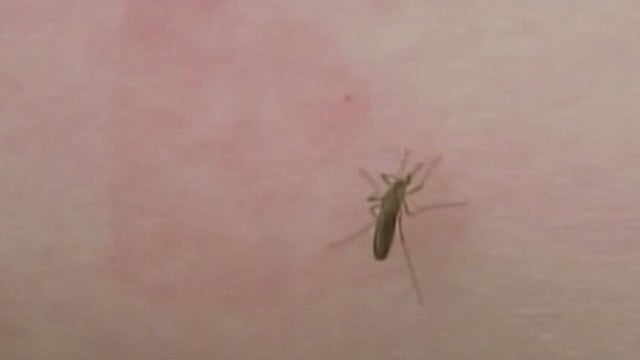 Mosquito trap in Granger tests positive for West Nile