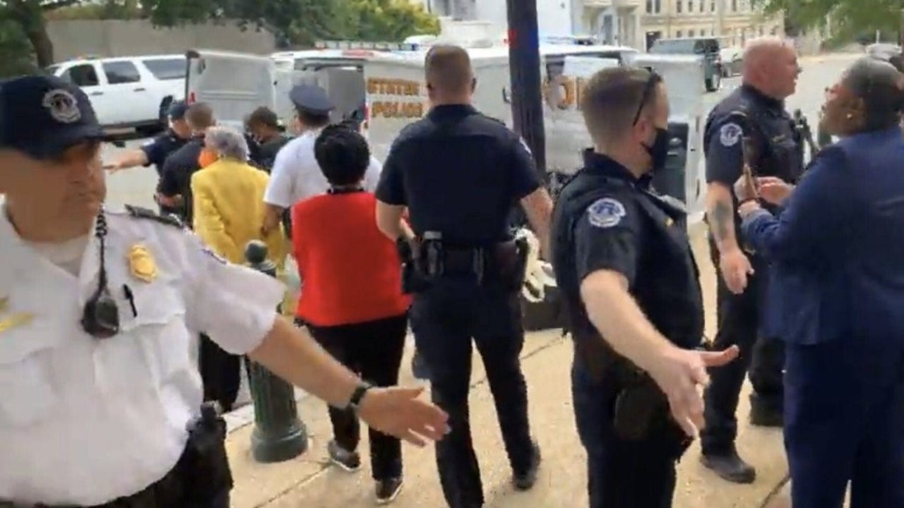 I will never stop fighting,' Texas Rep. Sheila Jackson Lee arrested during  protest in Washington .