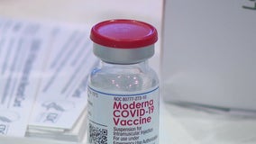 FOX 7 Discussion: Fertility unaffected by COVID-19 vaccine, studies say