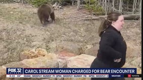 Carol Stream woman faces charges in Yellowstone bear encounter