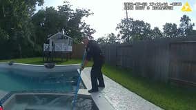 Gator 'arrested' in Texas for trespassing, using family hot tub