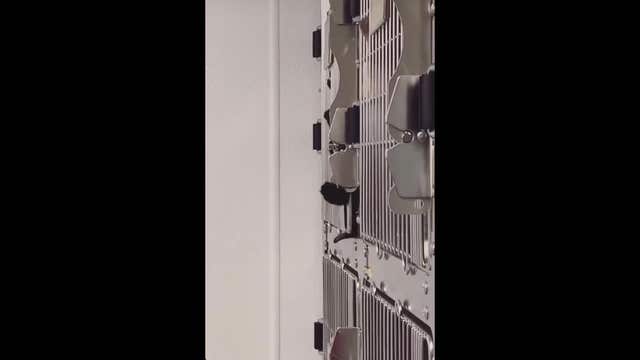 Cat escapes from 'escape-proof' cage at Texas animal shelter