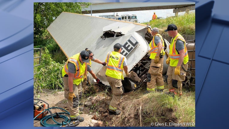cow crash Fort Worth