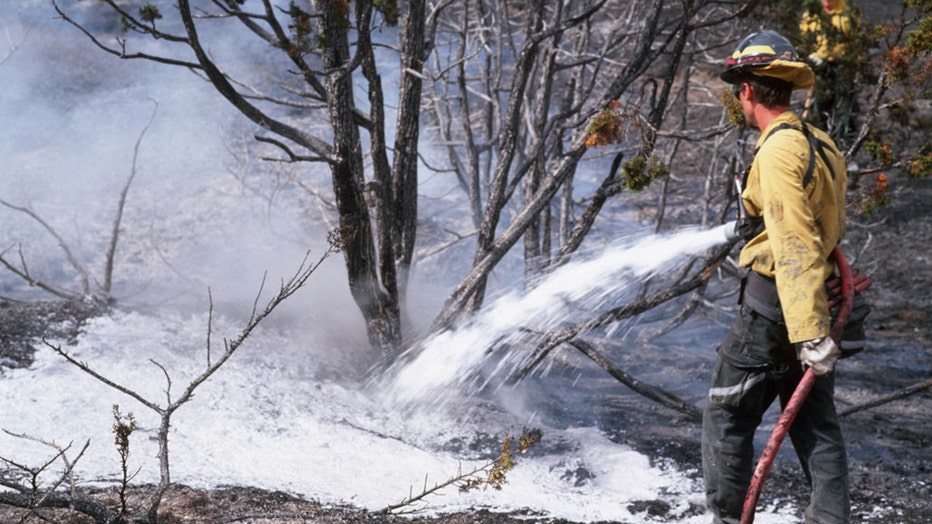 Firefighting foam