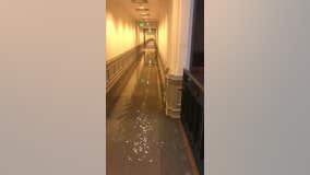 Texas State Capitol closed to visitors after flooding