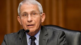 As delta variant surges, Fauci warns more 'pain and suffering' ahead