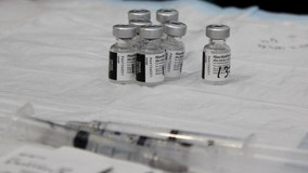 Study suggests lambda variant could evade COVID-19 vaccine protection