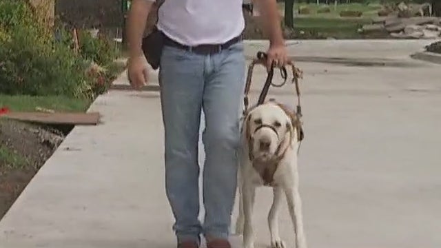 FOX 7 Care Force: New law could help veterans dealing with PTSD