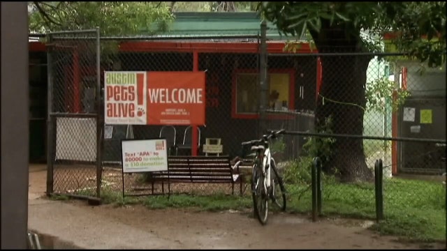 Austin Pets Alive! no-kill status at-risk amid land agreement with city