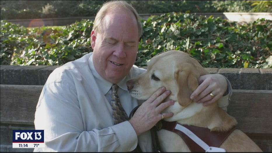 9/11 survivor with guide dog