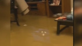 La Grange experiences fast flooding due to rain