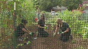 Love, Tito's, Austin Parks Foundation team up for garden projects