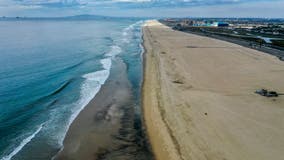 PHOTOS: Massive oil spill off California coast shows impact on wildlife, beachside communities