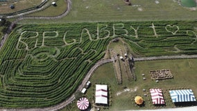 'RIP Gabby': Bradenton farm creates corn maze tribute to Gabby Petito