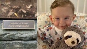 Cincinnati Zoo names sloth habitat after late 1-year-old boy