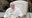 Pope Francis expresses 'shame' at scale of clergy abuse in France