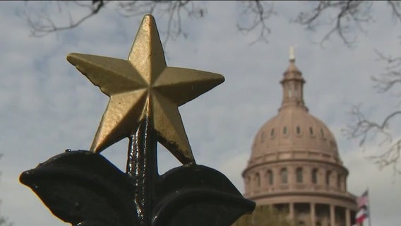 FOX 7 Discussion: Texas lawmaker to investigate school districts' books