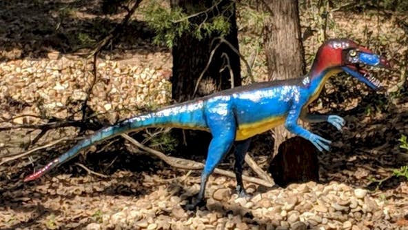 3 fiberglass dinosaurs stolen from The Dinosaur Park in Cedar Creek