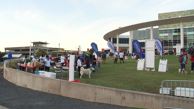 Austin Heart & Stroke Walk raises close to $1M for heart health