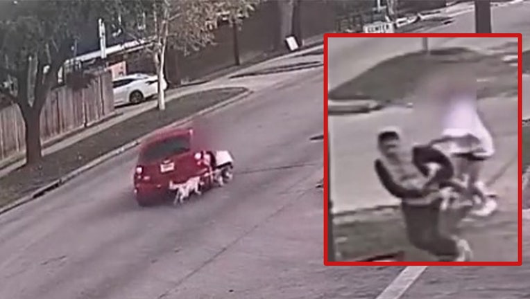 woman dog dragged