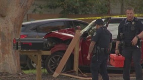 Driver killed in crash with tree in East Austin