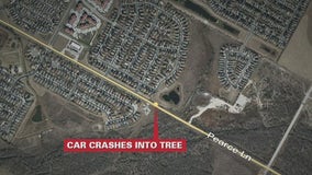 Driver in hospital following crash into tree in Travis County