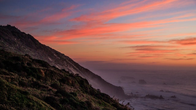 California's Lost Coast redwoods could be saved from logging