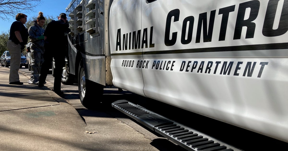 Animal control officers removing up to 60 cats from Round Rock home ...