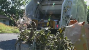 City of Austin to suspend large brush and bulk collections