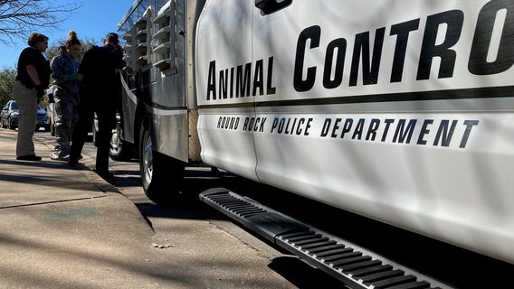 Animal control officers removing up to 60 cats from Round Rock home