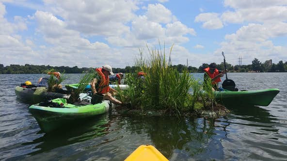 The Trail Foundation seeks artists for floating wetlands project