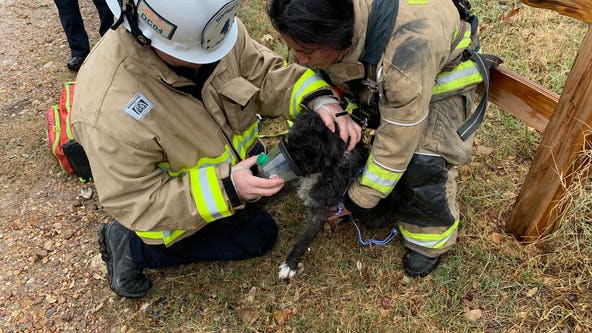 Man, dog rescued from fire on Poquito Street in East Austin