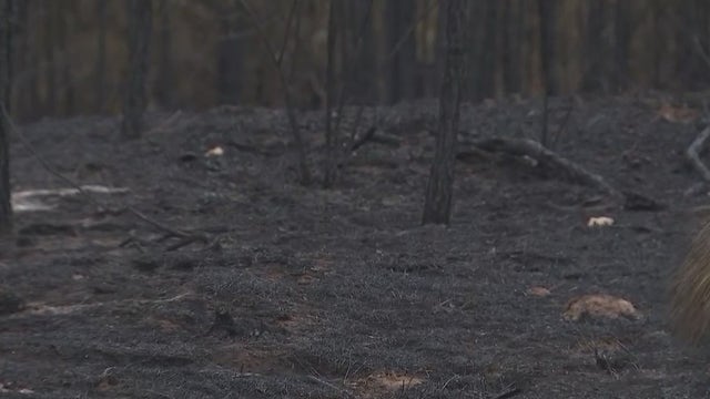 Outdoor burn ban, disaster declaration in place for Bastrop County