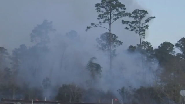 Independent panel to look into cause of Rolling Pines Fire