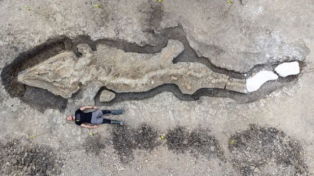 Britain's largest ‘sea dragon’ unearthed at water reserve
