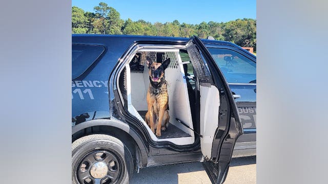 Houston police K9 stabbed following chase with robbery suspect