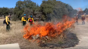 Texas A&M Forest Service warns of increased wildfire activity this weekend across the state