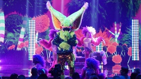 ‘The Masked Singer’ season 7 costume revealed