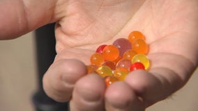 TikTok Orbeez Challenge causes panic at Royse City High School