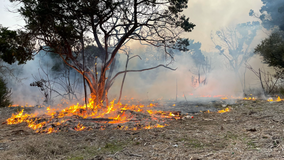 AFD working on putting out several brush fires in north, northwest Austin