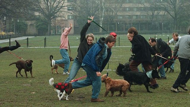 Austin Animal Center, Forklift Danceworks to host free community event promoting rescue animals