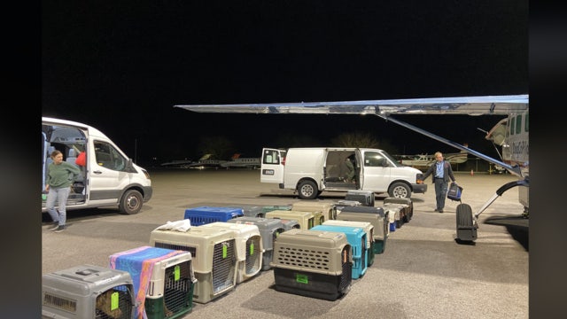 Pets get second chance for adoption thanks to Austin animal shelter