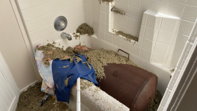 Tornado in Elgin rips BBQ grill top off, throws it into bathtub