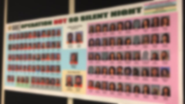 114 arrested in Polk undercover human trafficking investigation