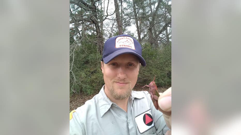 Dirk Parker showed off the pink grasshopper he found during a walk in Texas. (Dirk Parker)