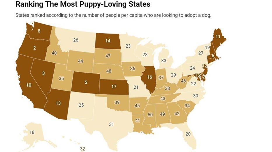 ranking_puppylovingstates.jpg